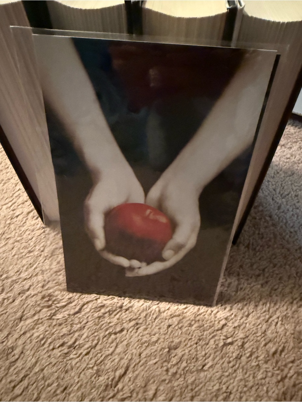 Twilight Series Box Set - Black with Red Accents - Picture 8 of 8
